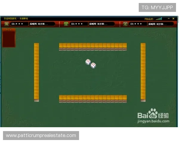 凯发二人麻将新手必看，详细介绍游戏规则和操作流程指南