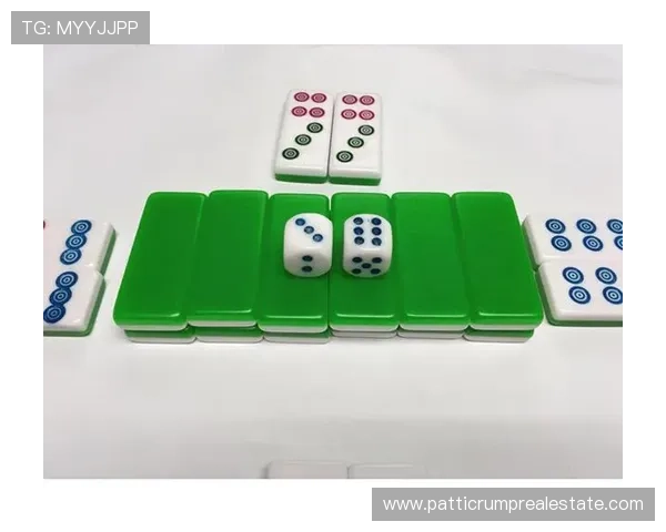 学习筒子二八杠的技巧口诀图解提升游戏水平的详细步骤与实用建议